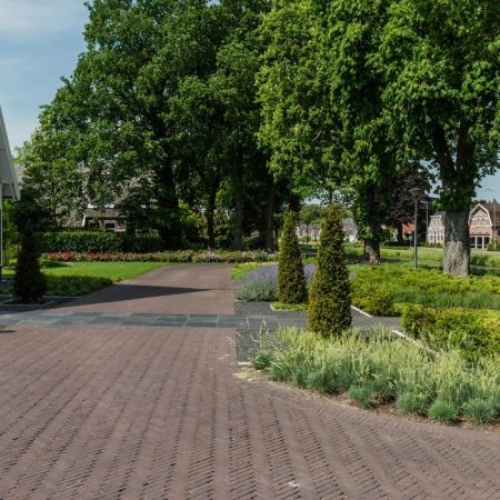 Bolzano Antica 204x50x60mm Pflasterklinker Waalformat WF60