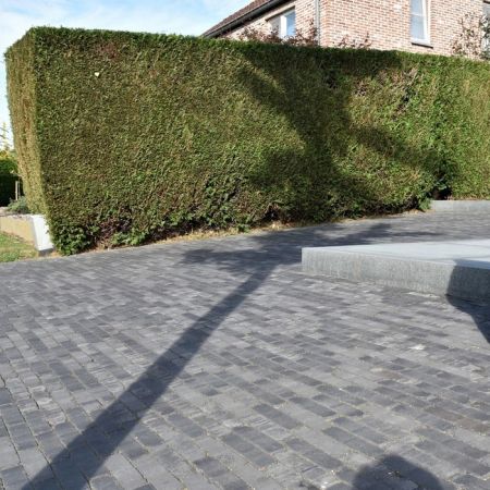 Lucca Antica 204x50x60mm Pflasterklinker Waalformat WF60