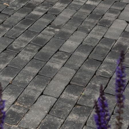 Lucca Antica 204x50x60mm Pflasterklinker Waalformat WF60