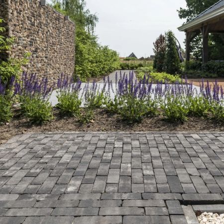 Lucca Antica 204x50x60mm Pflasterklinker Waalformat WF60