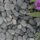 Beach Pebbles 16-25mm 4kg-20kg Sack