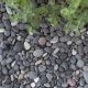 Beach Pebbles 8-16mm 4kg-20kg Sack