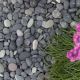 Beach Pebbles 8-16mm 4kg-20kg Sack