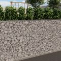 Gabionenwand 9,5m lang, 100cm/50cm tief, 150cm hoch